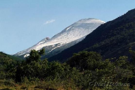 Bild Nr. 10594 - 206 mal gesehen