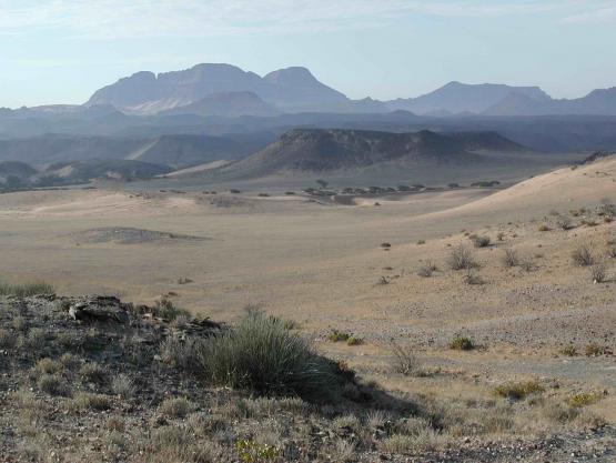 Bild Nr. 157 - 222 mal gesehen Bild Nr. 157 - 222 mal gesehen