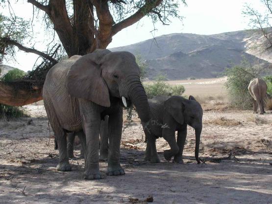 Bild Nr. 161 - 508 mal gesehen Bild Nr. 161 - 508 mal gesehen