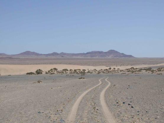 Bild Nr. 166 - 197 mal gesehen Bild Nr. 166 - 197 mal gesehen