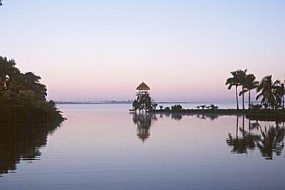 Bild Nr. 199 - 204 mal gesehen