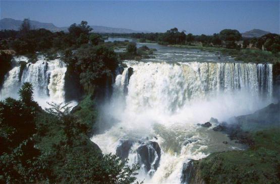 Bild Nr. 205 - 205 mal gesehen