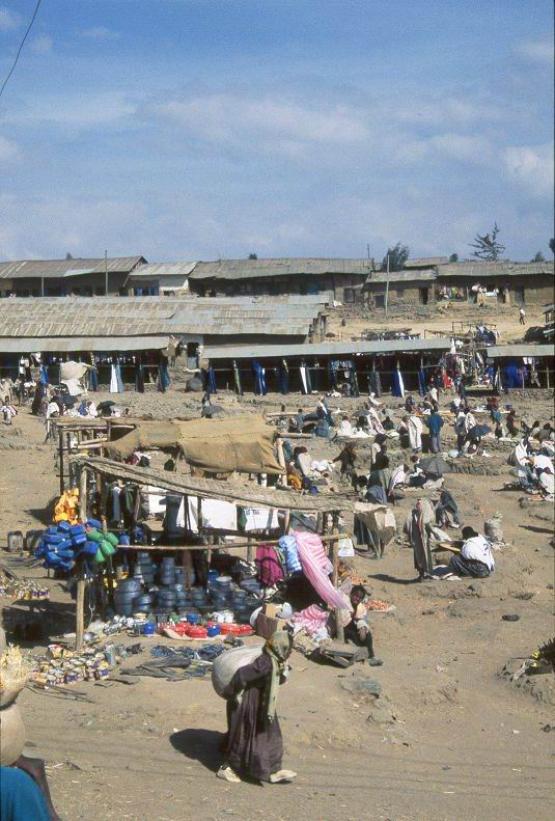 Bild Nr. 206 - 162 mal gesehen