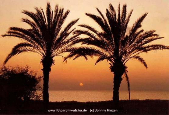 Bild Nr. 234 - 202 mal gesehen