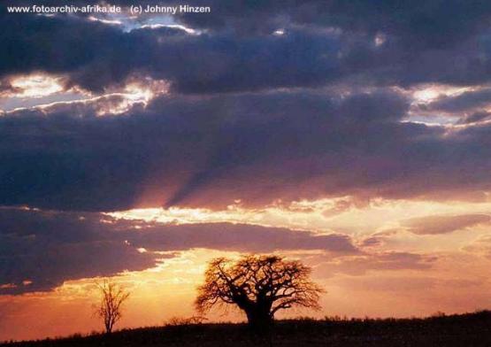Bild Nr. 235 - 203 mal gesehen