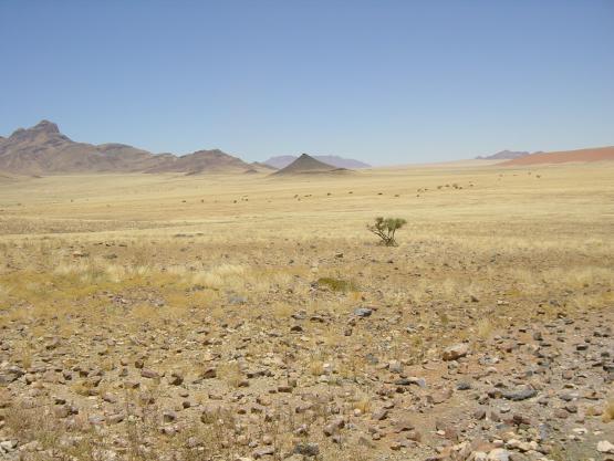 Bild Nr. 23849 - 27 mal gesehen