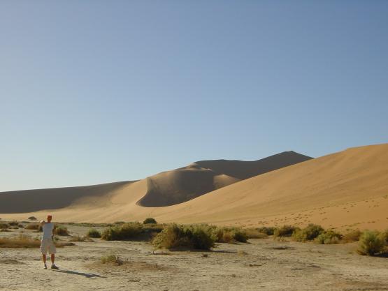 Bild Nr. 23854 - 24 mal gesehen