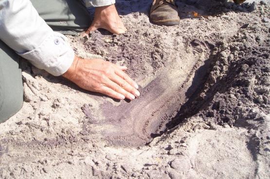 Bild Nr. 24427 - 27 mal gesehen