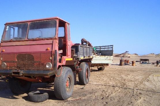 Bild Nr. 24447 - 64 mal gesehen