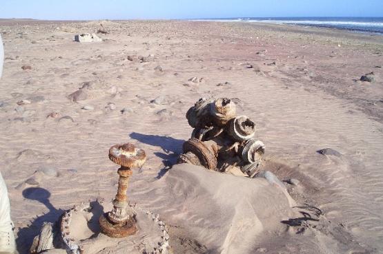 Bild Nr. 24448 - 31 mal gesehen