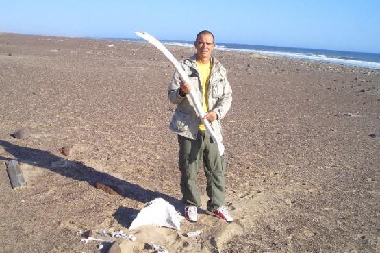 Bild Nr. 24450 - 49 mal gesehen