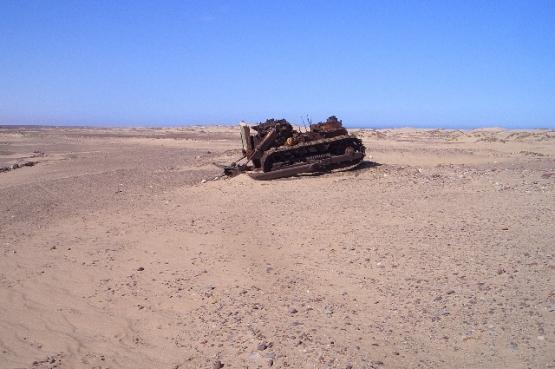 Bild Nr. 24453 - 48 mal gesehen