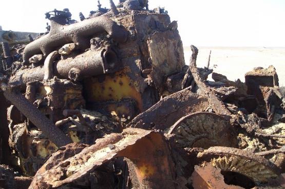 Bild Nr. 24456 - 35 mal gesehen