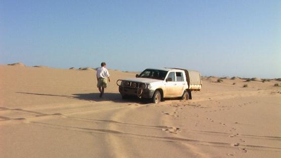 Bild Nr. 24464 - 29 mal gesehen