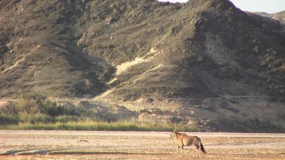 Bild Nr. 24467 - 63 mal gesehen