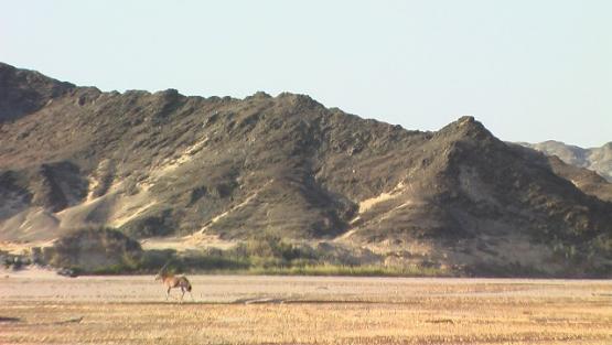 Bild Nr. 24468 - 60 mal gesehen