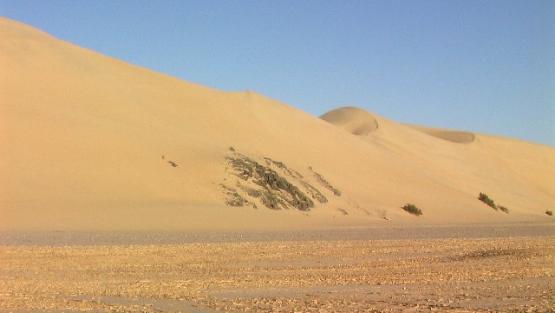 Bild Nr. 24470 - 59 mal gesehen