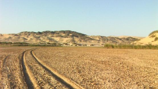 Bild Nr. 24471 - 60 mal gesehen