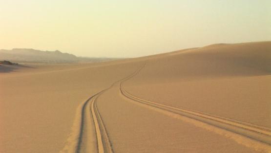 Bild Nr. 24482 - 64 mal gesehen