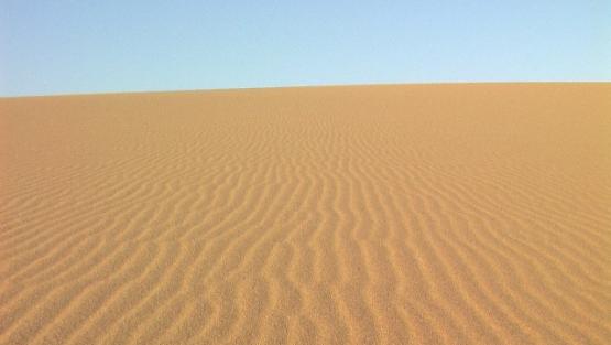 Bild Nr. 24485 - 53 mal gesehen