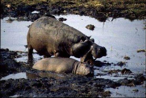 Bild Nr. 249 - 222 mal gesehen