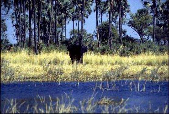 Bild Nr. 250 - 163 mal gesehen