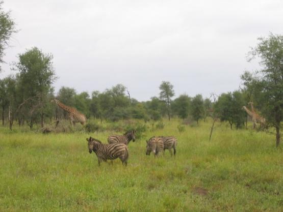 Bild Nr. 25240 - 203 mal gesehen