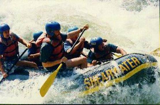 Bild Nr. 253 - 141 mal gesehen