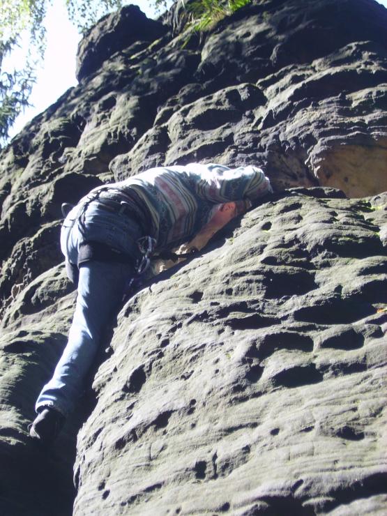 Bild Nr. 26274 - 74 mal gesehen