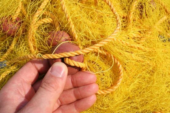 Bild Nr. 28111 - 32 mal gesehen