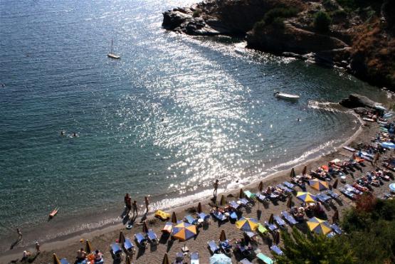 Bild Nr. 28115 - 39 mal gesehen