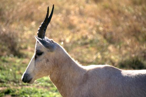 Bild Nr. 3326 - 227 mal gesehen