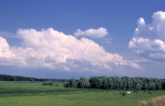 Bild Nr. 3376 - 249 mal gesehen