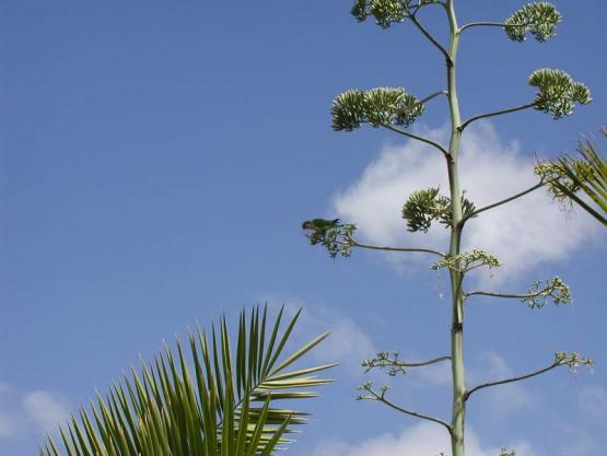 Bild Nr. 3895 - 298 mal gesehen